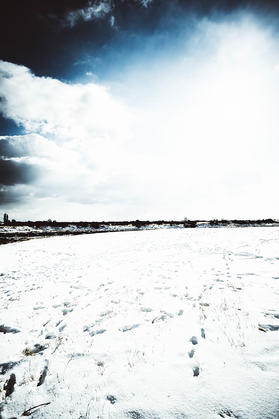 horizon, grass, tree, sunshine, blue, footprint, cloud, sky HD wallpaper