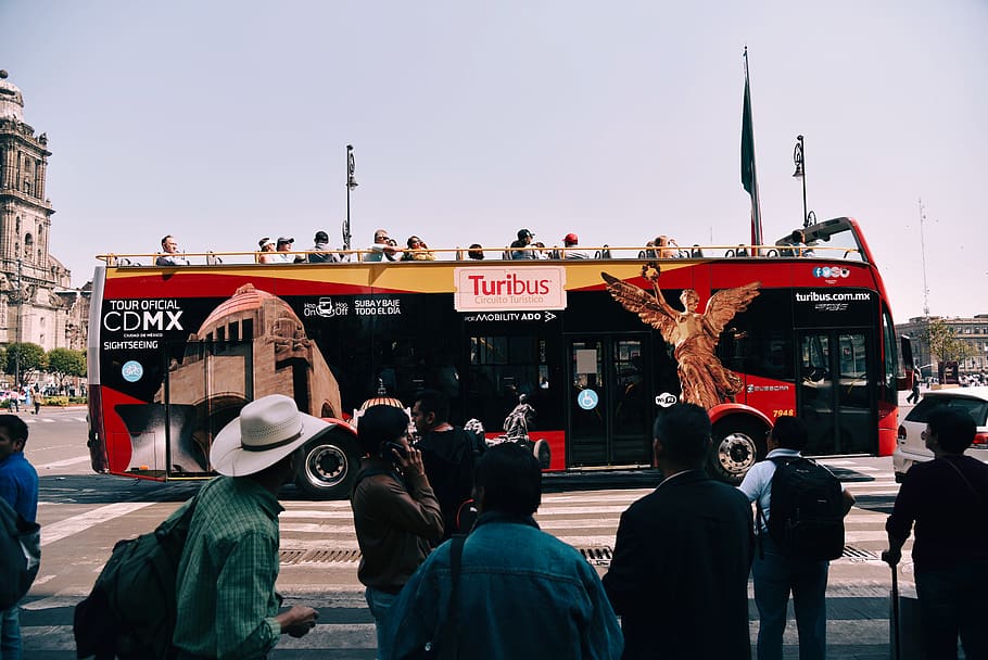 bus passing through pedestrian, human, person, clothing, apparel HD wallpaper