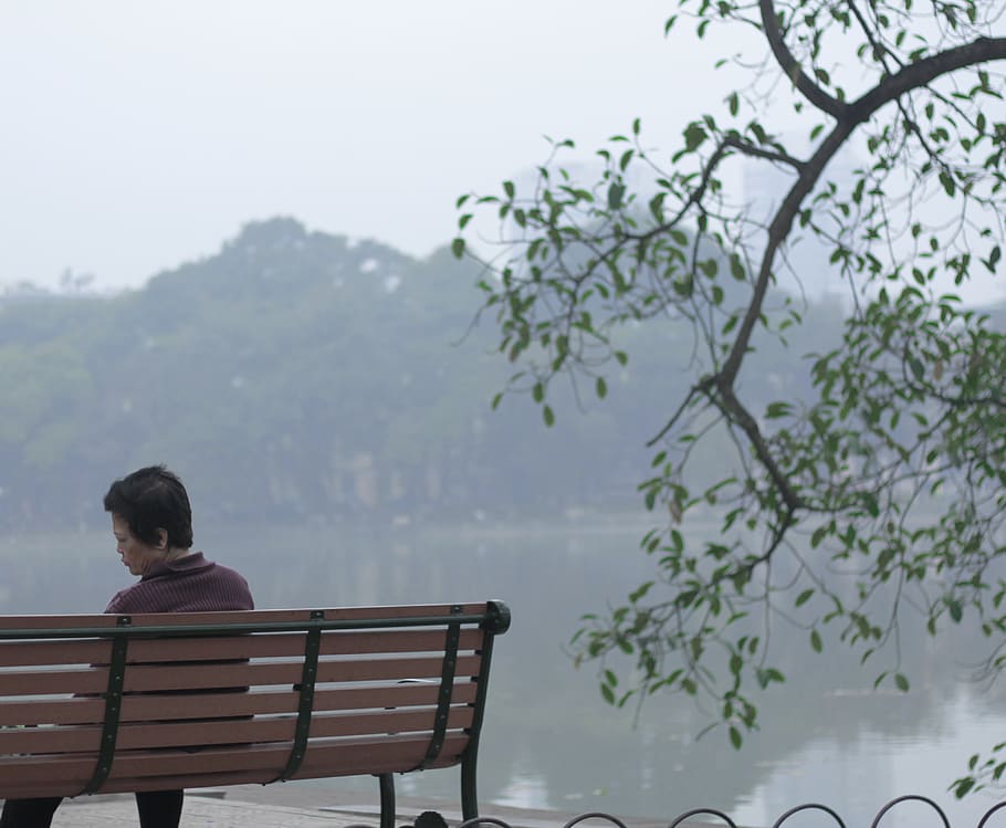 vietnam, hoàn kiếm, trees, leaf, water, sad, old, alone, HD wallpaper