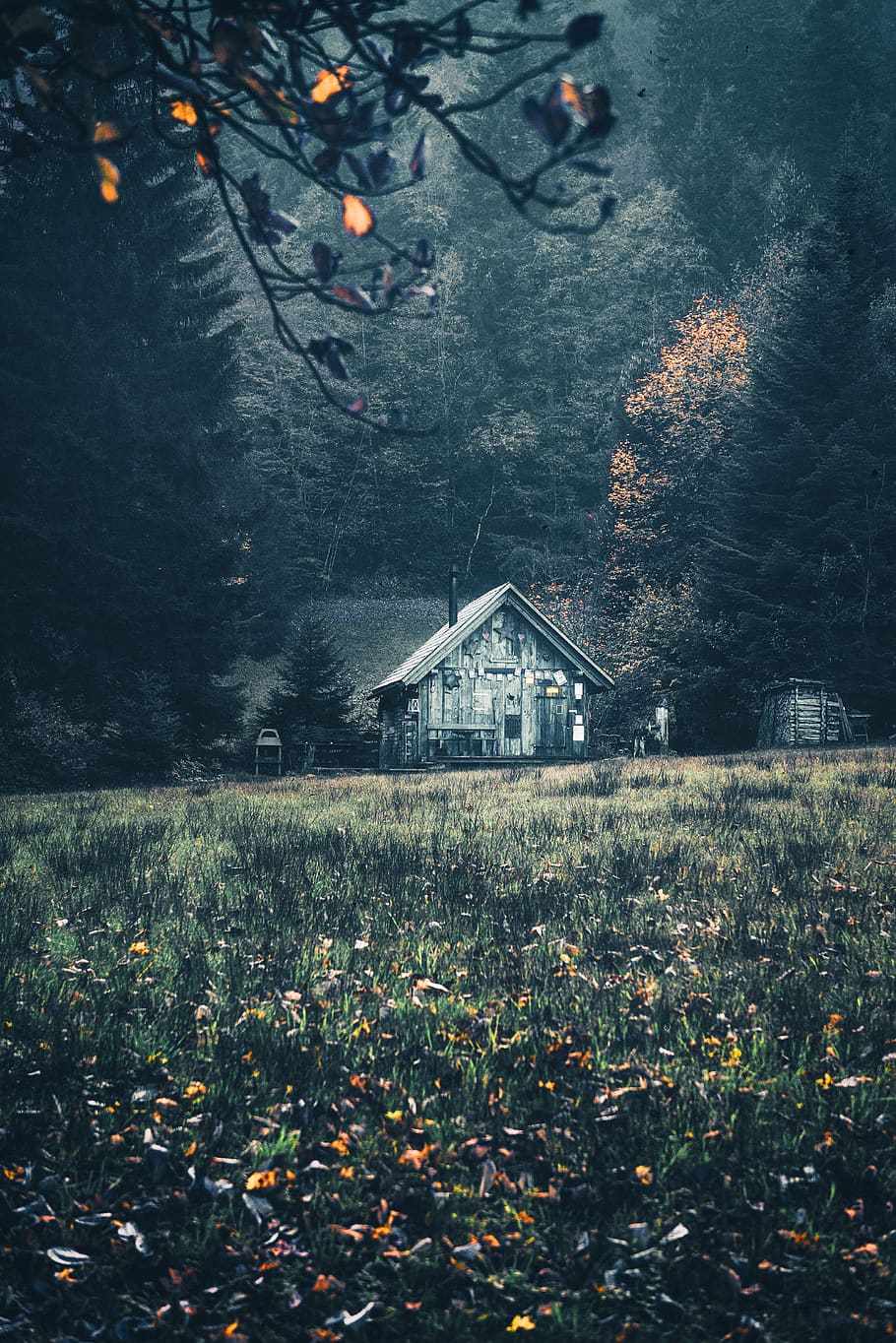 gray house surrounded by trees, plant, built structure, architecture HD wallpaper