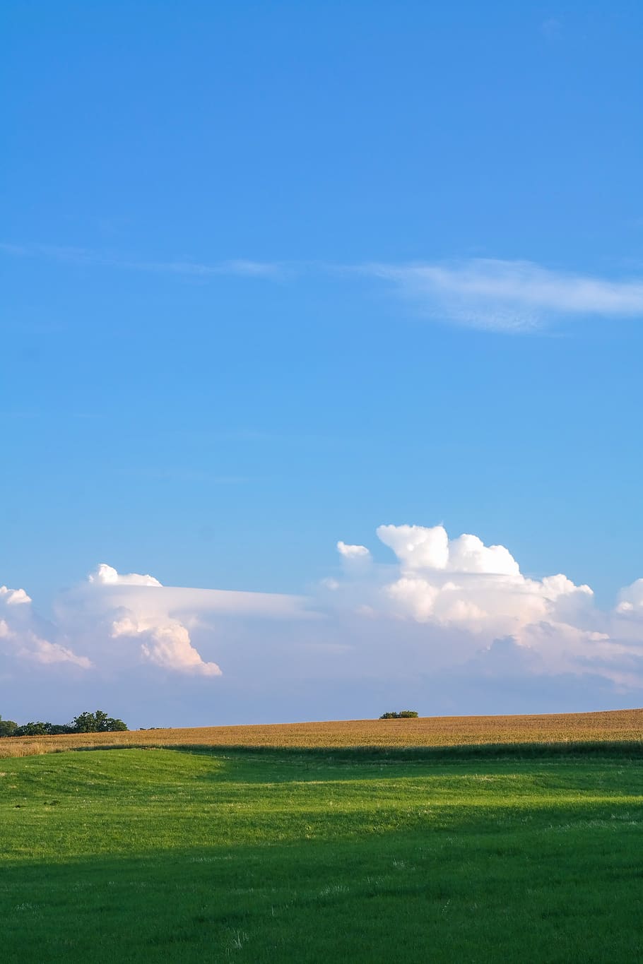landscape, meadow, field, sky, clouds, nature, rural, green HD wallpaper
