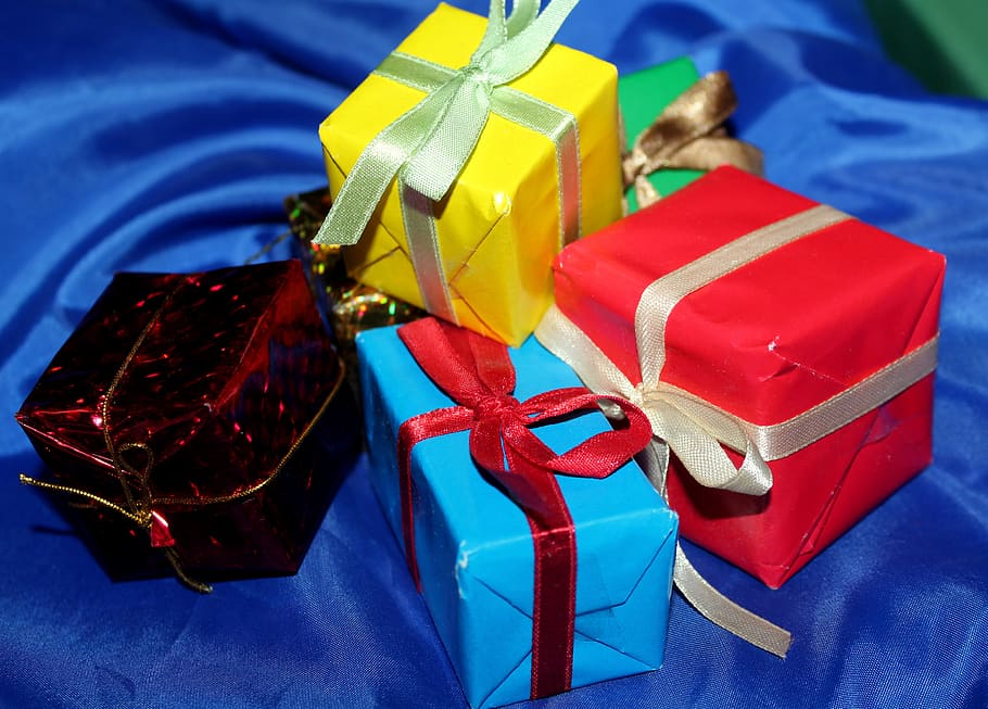 gifts, holidays, cockapoo, parish, the tradition of, joy, christmas HD wallpaper