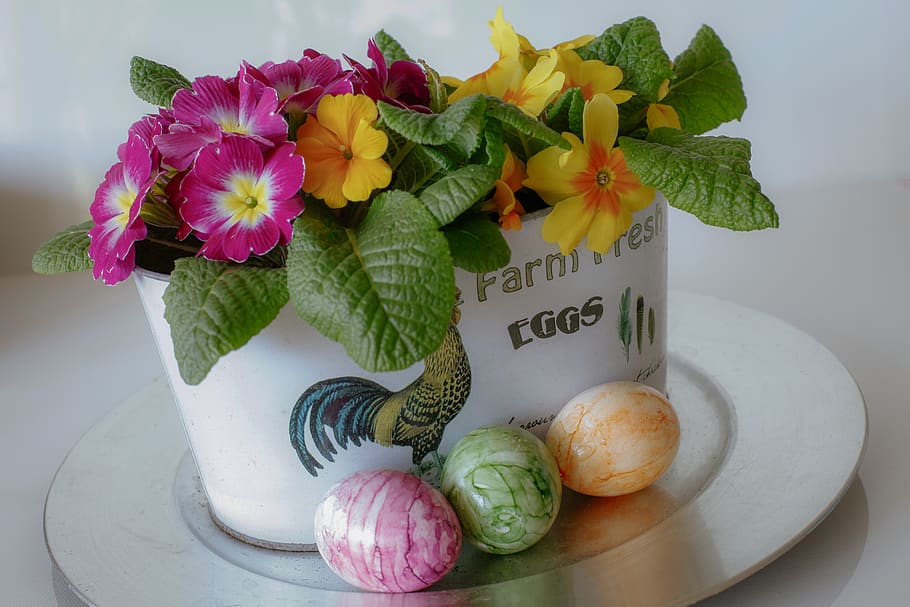 easter, egg, primroses, spring, colorful, cheerful, deco, easter theme HD wallpaper