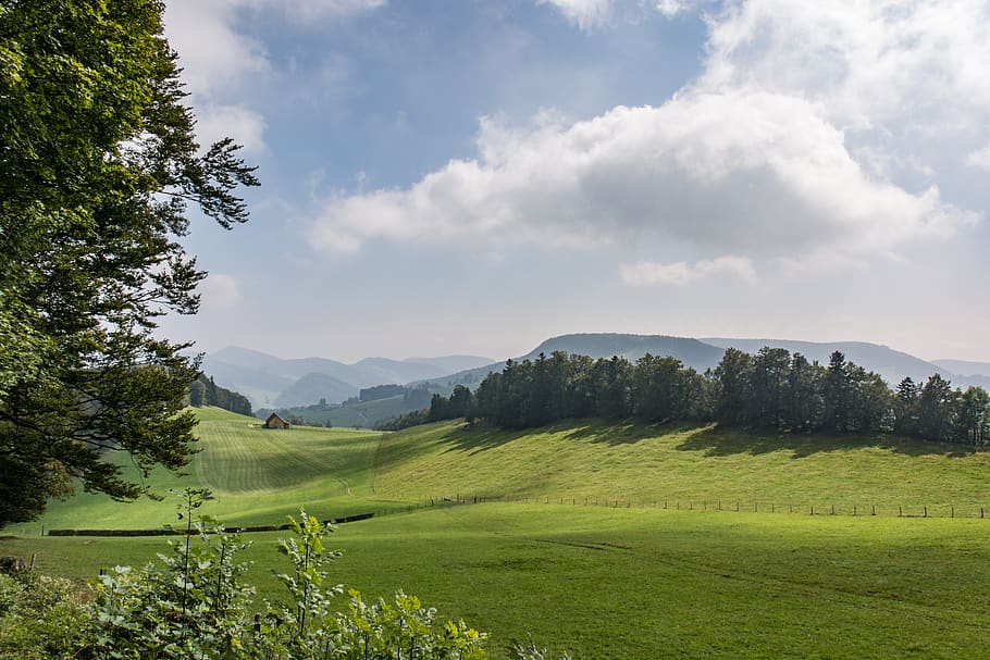 nature, landscape, panorama, tree, grass, hill, summer, sky HD wallpaper
