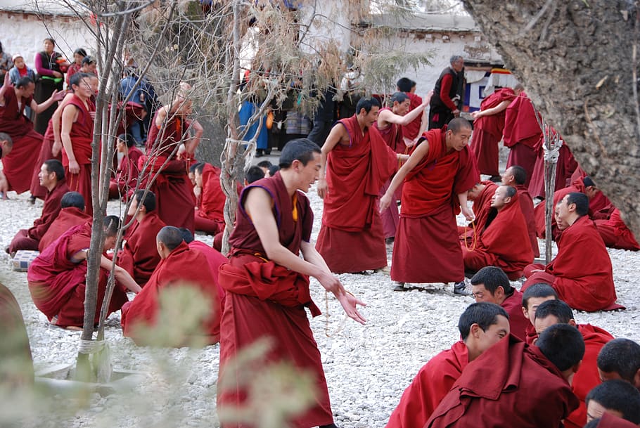 tibet, monks, training, group of people, large group of people, HD wallpaper