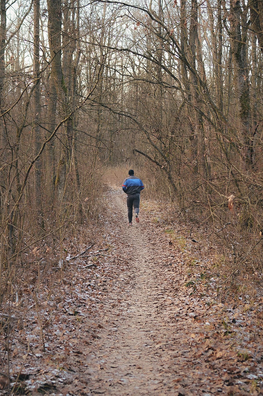 athlete, download, forest, image, man, path, people, runner HD wallpaper