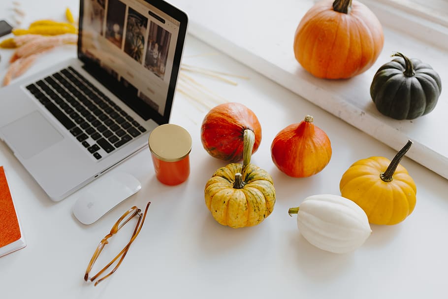 Female desk with orange notebook and pumpkins, laptop, computer HD wallpaper
