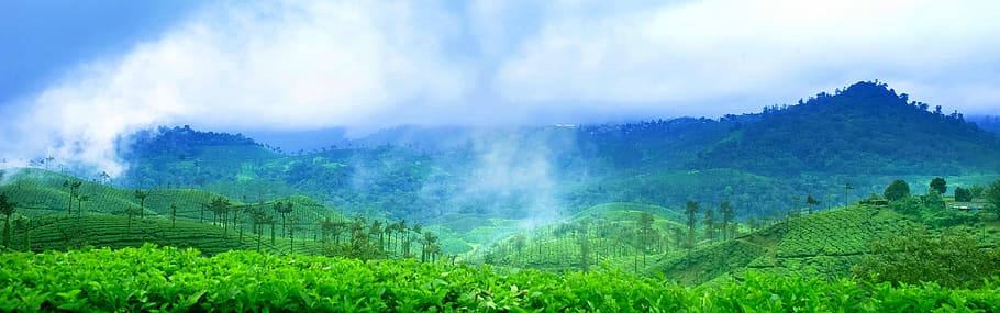 india, chennai, landscape, environment, scenics - nature, plant HD wallpaper