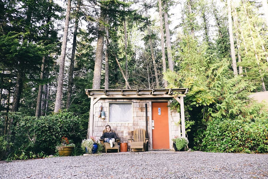 canada, tofino, tinyhome, cabin, explorebc, tree, plant, forest HD wallpaper