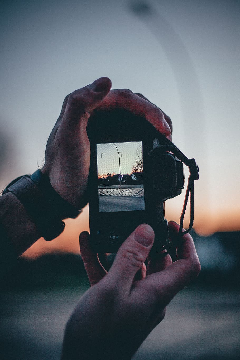Selective Focus Photo of Person Holding Camera, blur, capture HD wallpaper
