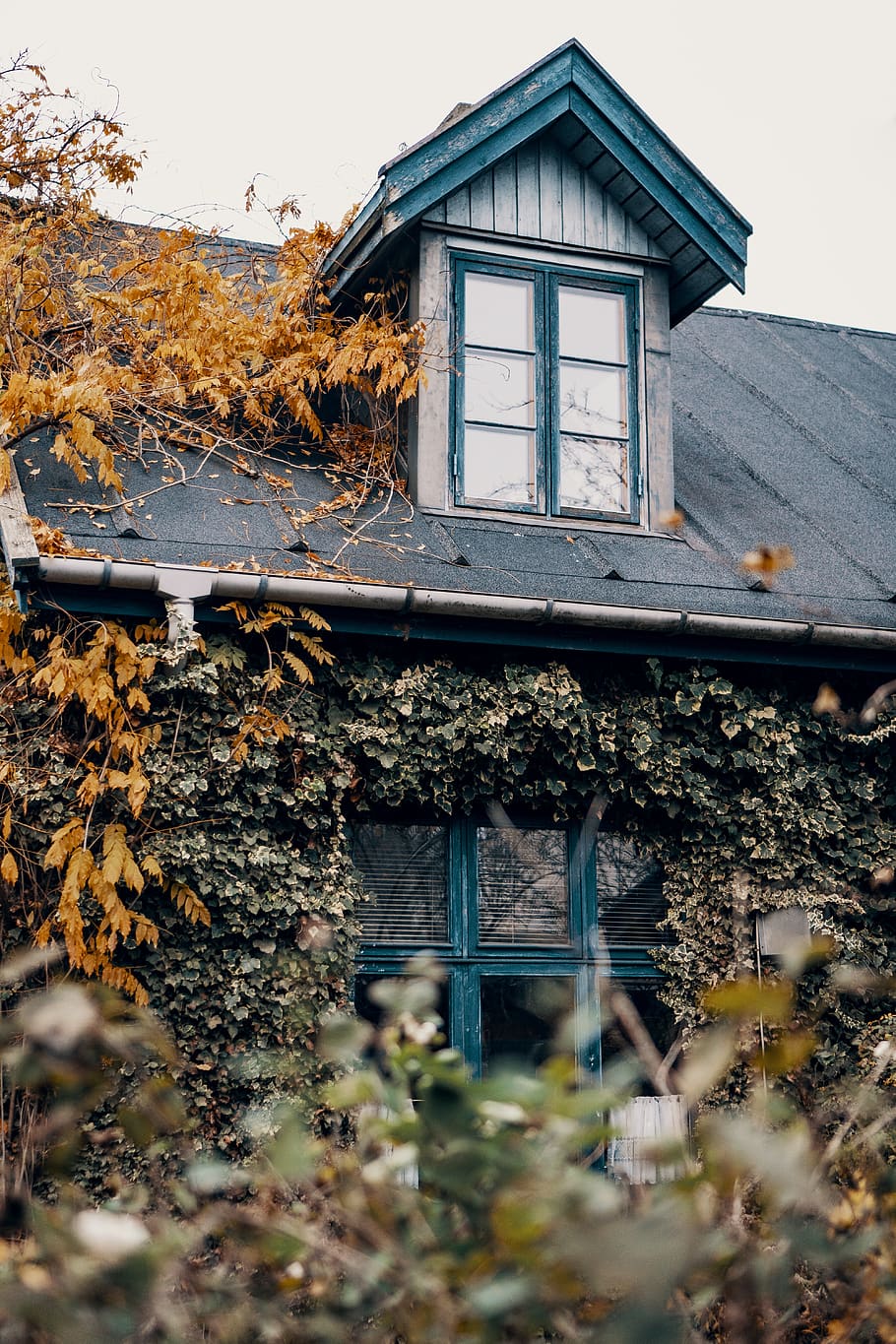 black house at daytime, window, plant, denmark, københavn, nordområdet 147 HD wallpaper