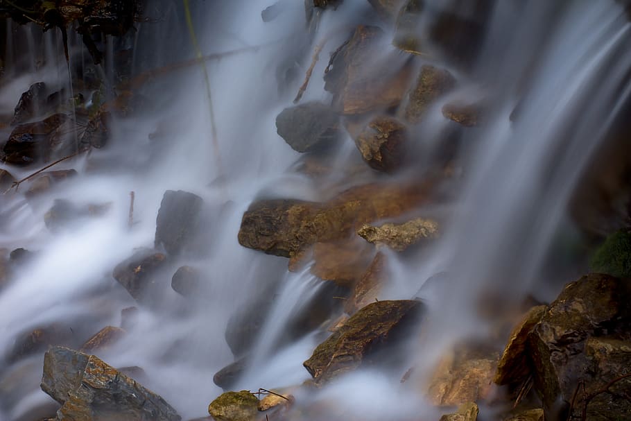 water flowing on rock, nature, outdoors, river, plant, tree, bee HD wallpaper