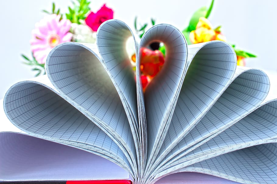 book, checkered, flower, bouquet, heart, rose, tulip, gerbera HD wallpaper
