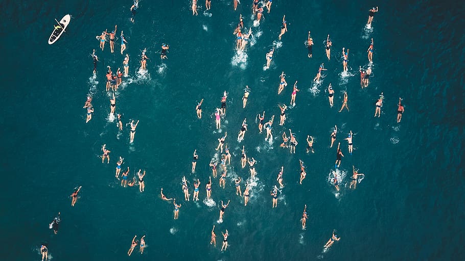 Aerial View of People Swimming on Sea, action, activity, adventure, HD wallpaper