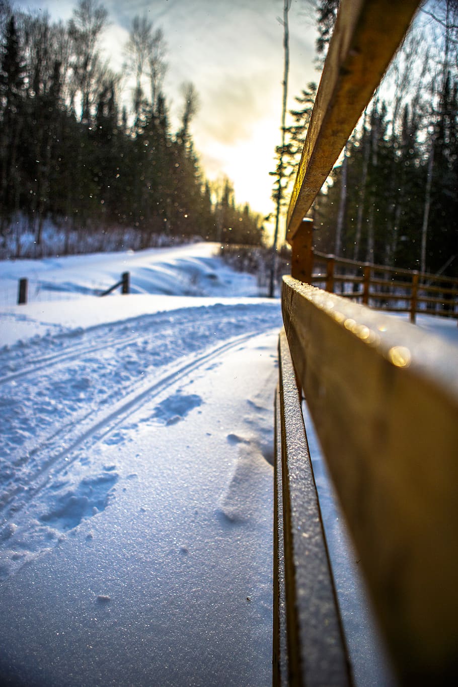 canada, la tuque, sun, forest, landscape, canon, quebec, snow HD wallpaper