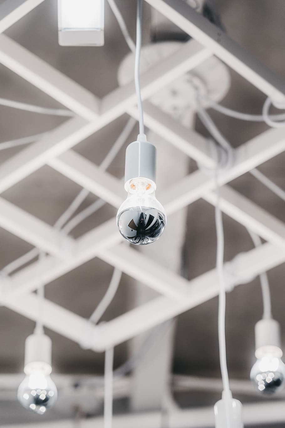 white pendant lamp, hanging, close-up, focus on foreground, invertebrate HD wallpaper