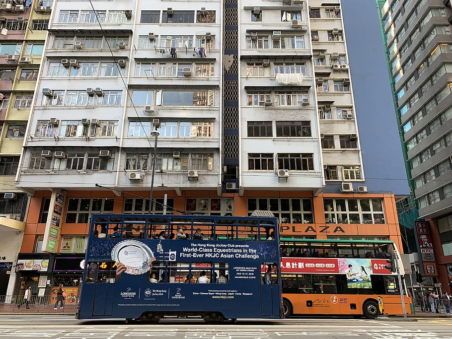 blue double decker bus, transportation, vehicle, person, human, HD wallpaper