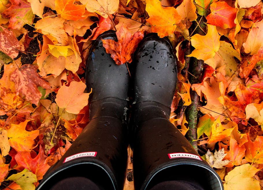 Orange on sale hunter boots