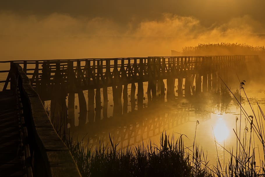Brown Footbridge Near Grasses, beach, boardwalk, dawn, dock, evening HD wallpaper
