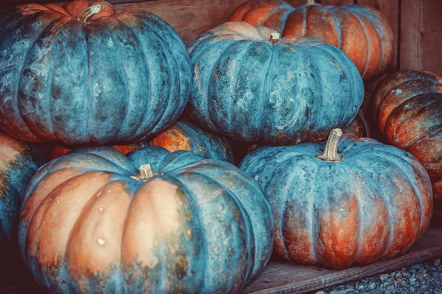 pumpkin, squash, vegetables, benefit from, food, farm, sale HD wallpaper