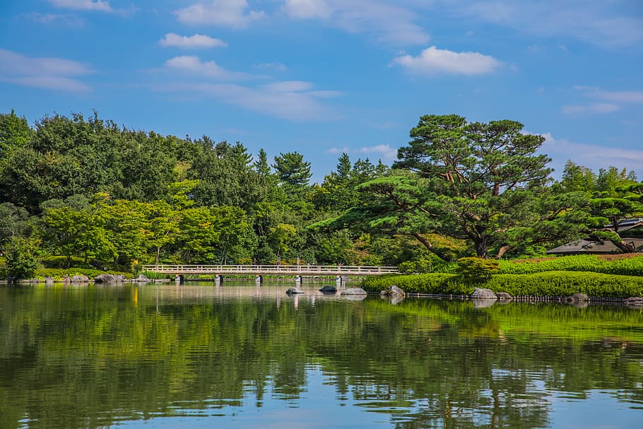 japan, tachikawa-shi, showa kinen park, garden, bridge, tree, HD wallpaper