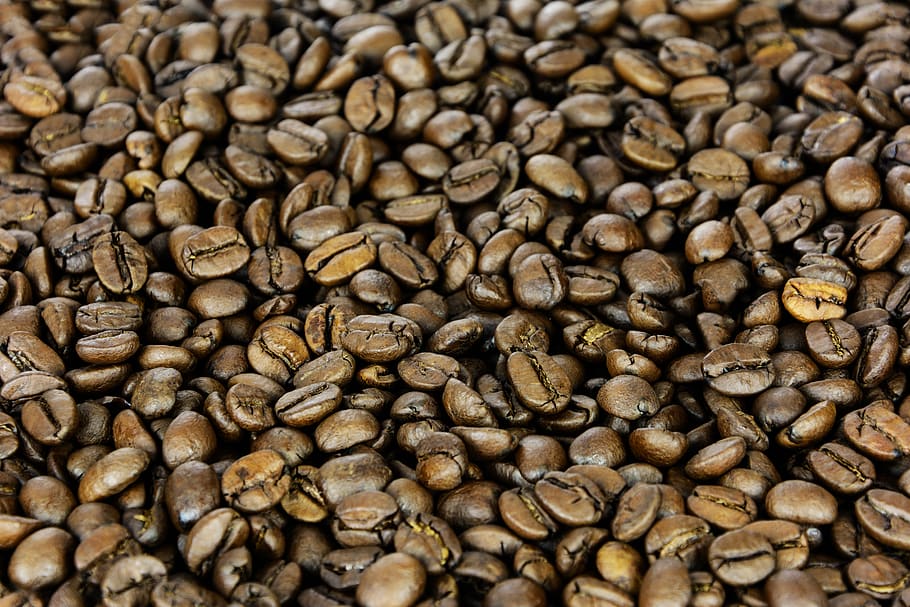 Coffee Beans Hd Wallpaper, brown, fresh coffee, grains, backgrounds HD wallpaper