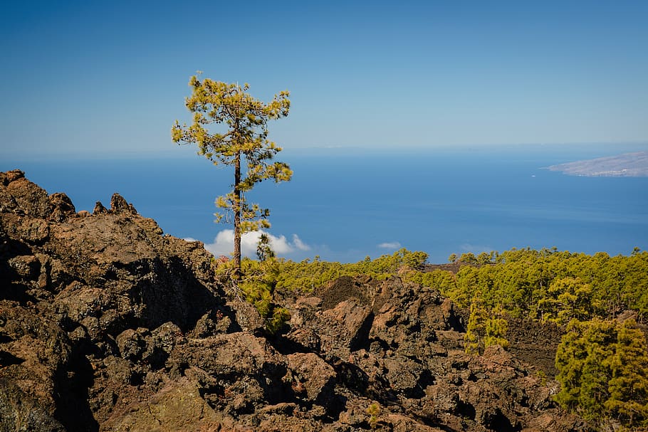 green tree under white sky, blue, ocean, sea, island, volcanic HD wallpaper