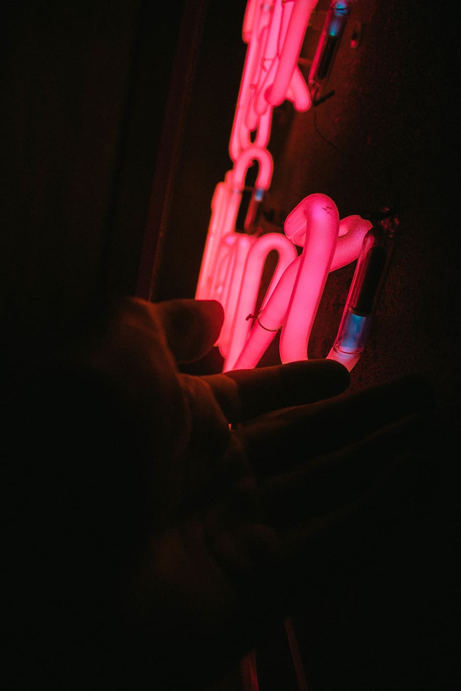 colombia, medellín, florez food garden, bulb, neon, red, hand, HD wallpaper