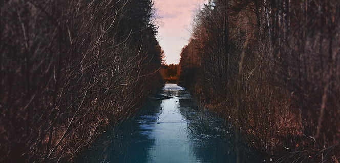 calm river view, ditch, water, outdoors, grass, plant, forest HD wallpaper