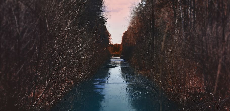 calm river view, ditch, water, outdoors, grass, plant, forest HD wallpaper