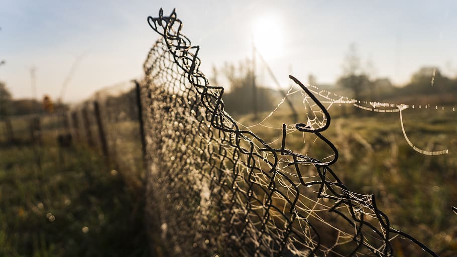 sky, sunset, landscape, clouds, fence, blue, grass, sunrise HD wallpaper