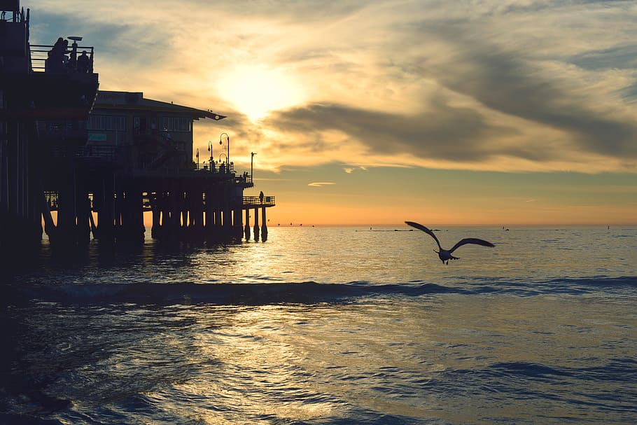 beach, sea, coast, ocean, horizon, cloud, sunrise, sunset, morning HD wallpaper