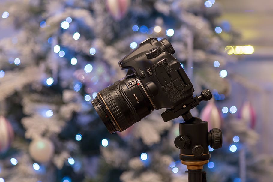 canon, camera, bokah, lens, lights, technology, arts culture and entertainment HD wallpaper