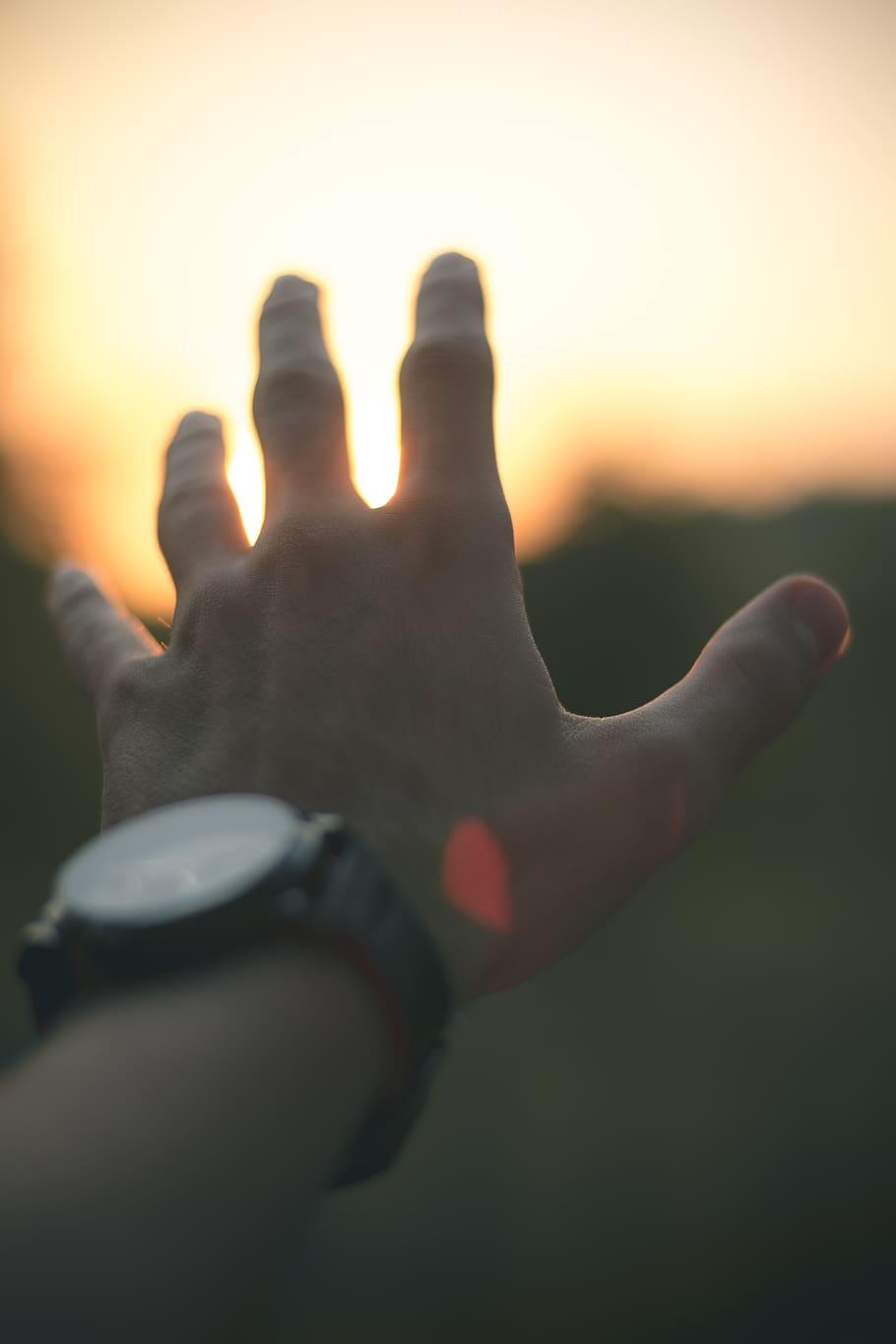 photo of person reaching out his hand, human hand, sunset, human body part, HD wallpaper