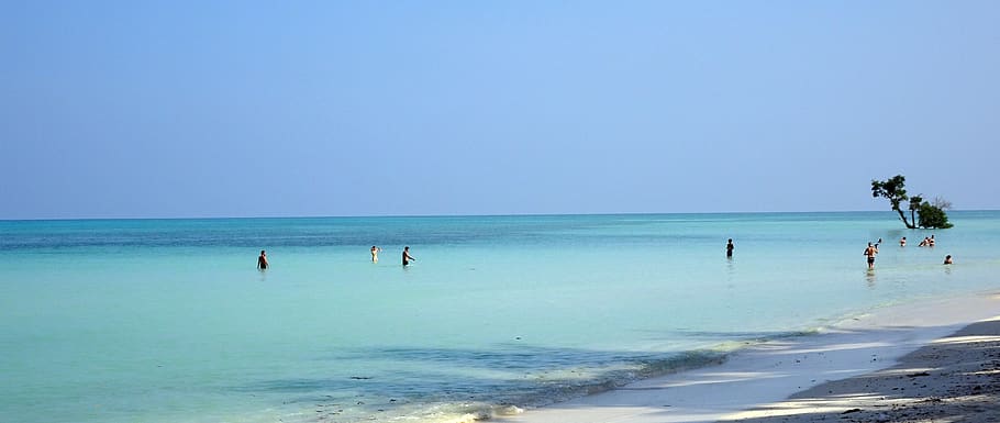 sea, beach, shallow, havelock, bathing, seascape, holiday, island, HD wallpaper