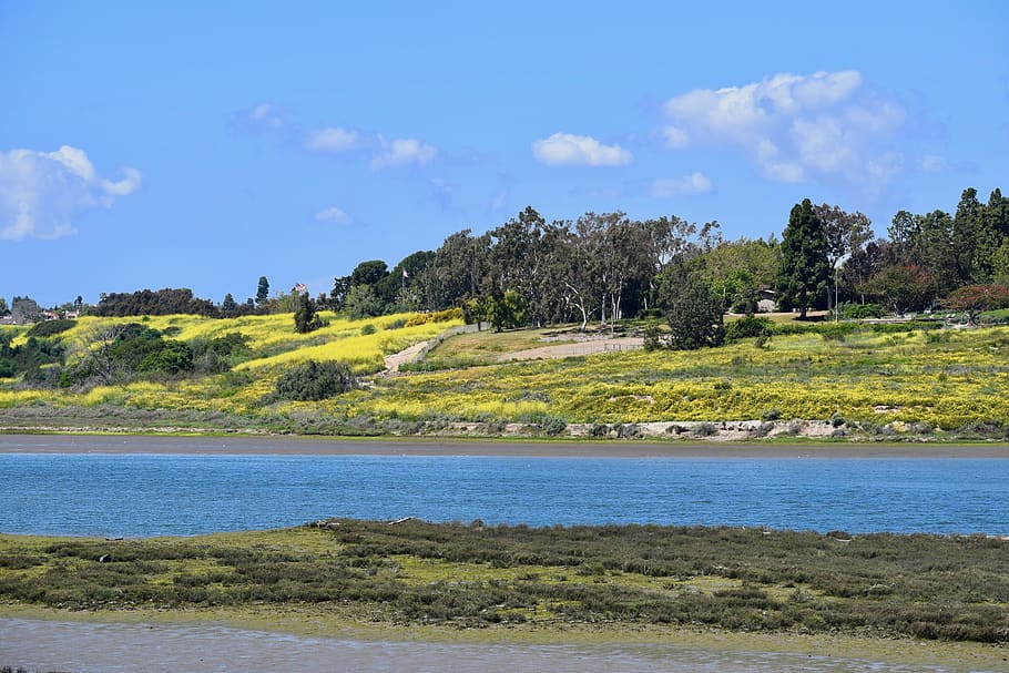 view, landscape, nature, scenic, sky, blue, sun, back bay, newport beach HD wallpaper