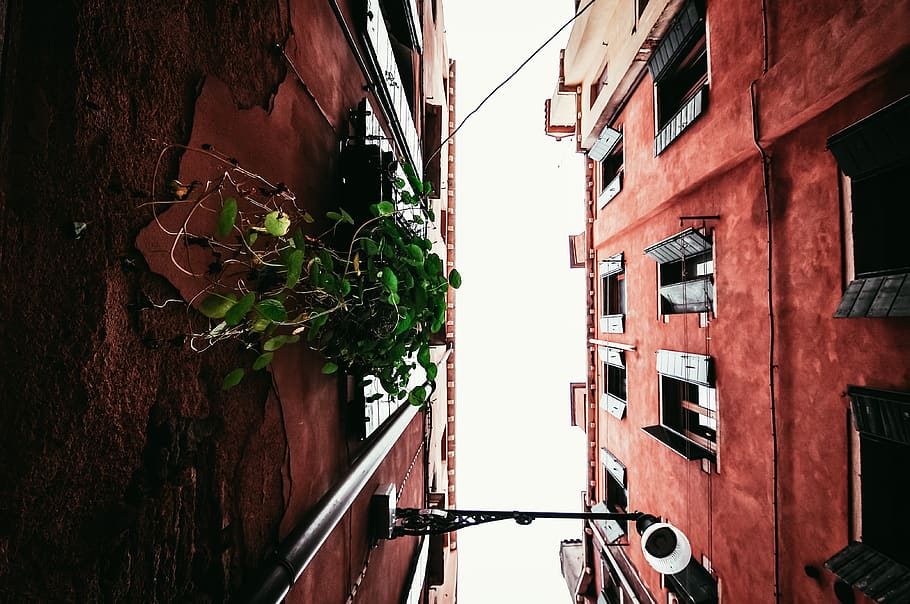 architecture, building, infrastructure, sky, skyscraper, green HD wallpaper