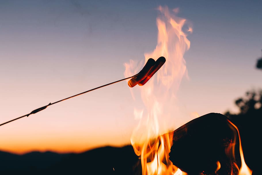 hotdog, roast, fire, stick, bonfire, dinner, breakfast, lunch HD wallpaper