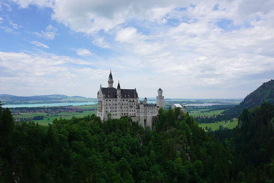 germany, schwangau, neuschwanstein castle, trees, forest, historical HD wallpaper