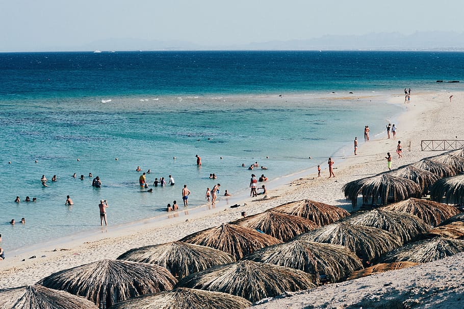 summer, beach, sea, egypt, water, land, group of people, crowd HD wallpaper
