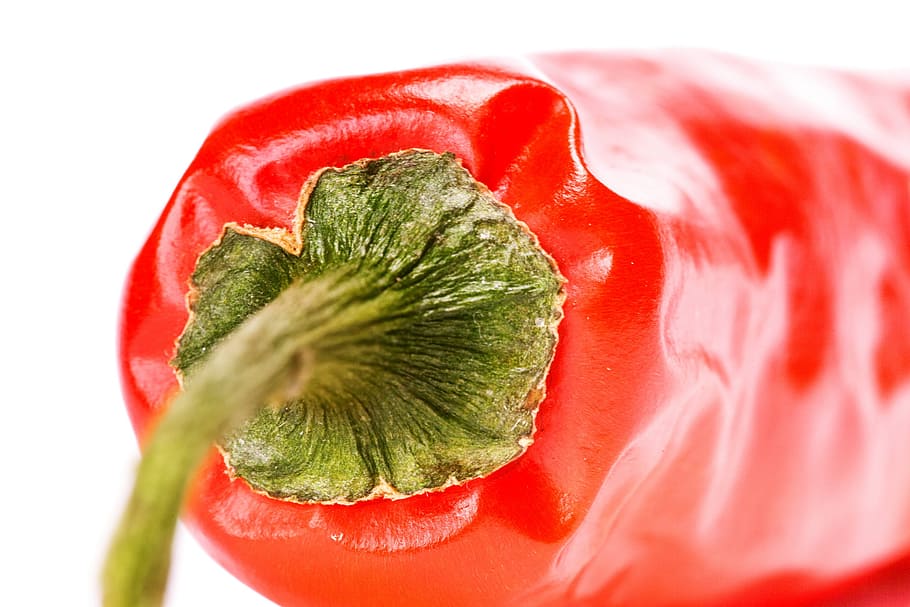 chili, pepper, burning, cayenne, chilean, clippingpath, food HD wallpaper