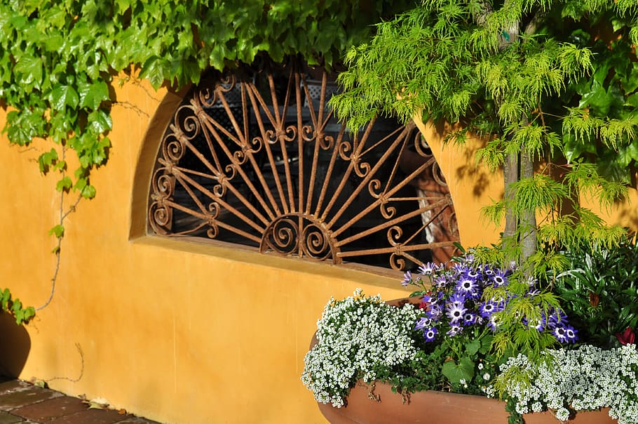 garden, greenery, plant, growth, architecture, flower, built structure HD wallpaper