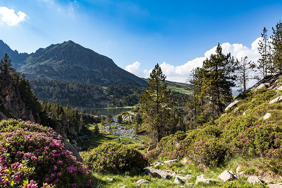 The Andorran Tour Guide Association