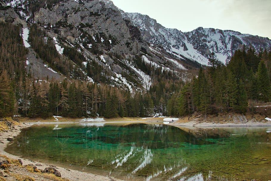 grünersee, styria, walk, nature, mood, away, trees, forest path HD wallpaper