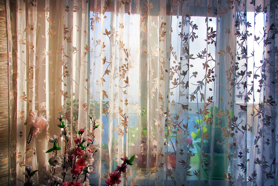 blind, curtain, window, day, plant, nature, outdoors, no people HD wallpaper