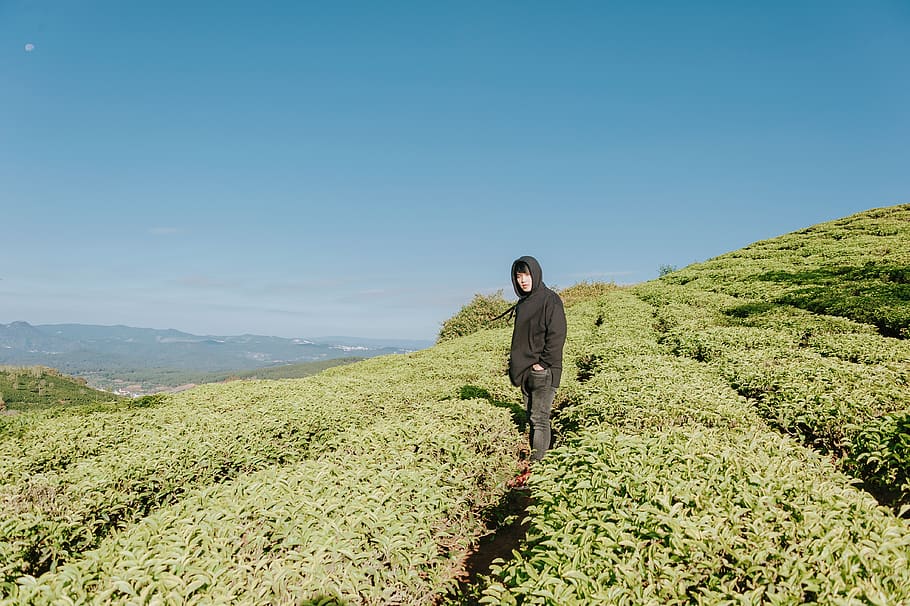 Полоть настоящее время. Croplands.