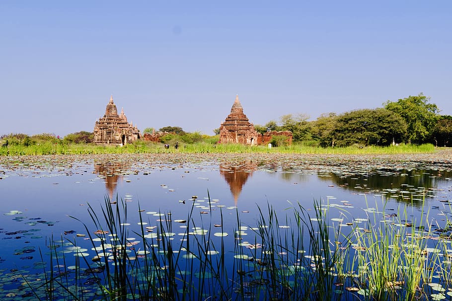 plant, architecture, religion, history, place of worship, the past HD wallpaper