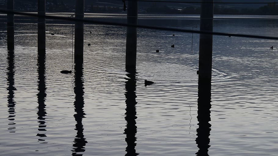 water, lake, nature, reflection, post, pier, port, lake constance HD wallpaper