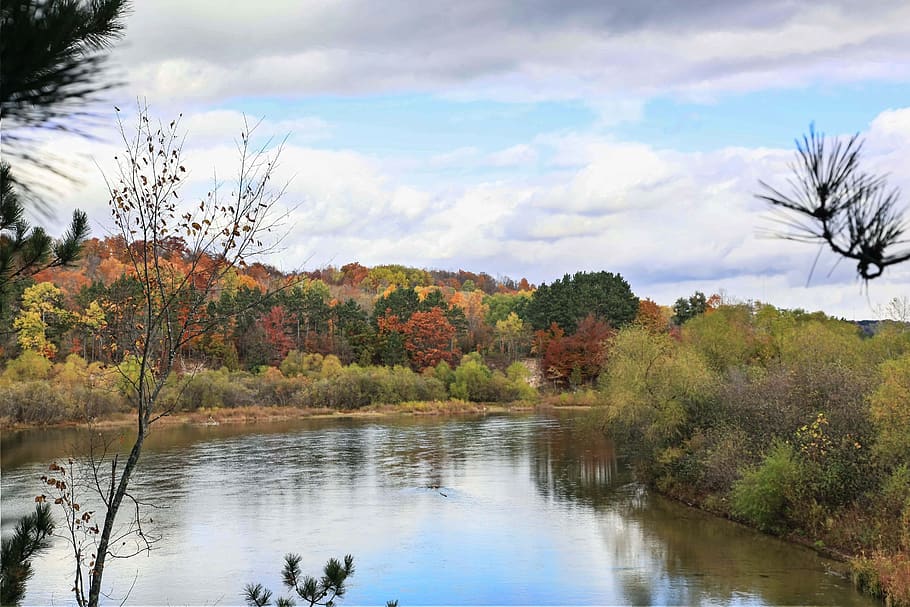 autumn, fall, reflection, colored leaves, tree, water, plant HD wallpaper