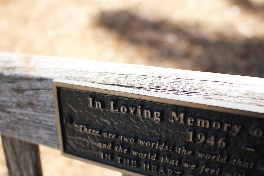 united states, fullerton, memory, bench, plaque, memorial, remind, HD wallpaper